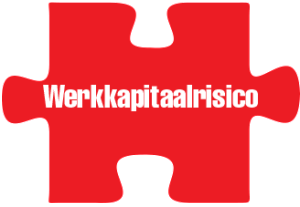 Puzzel_werkkap